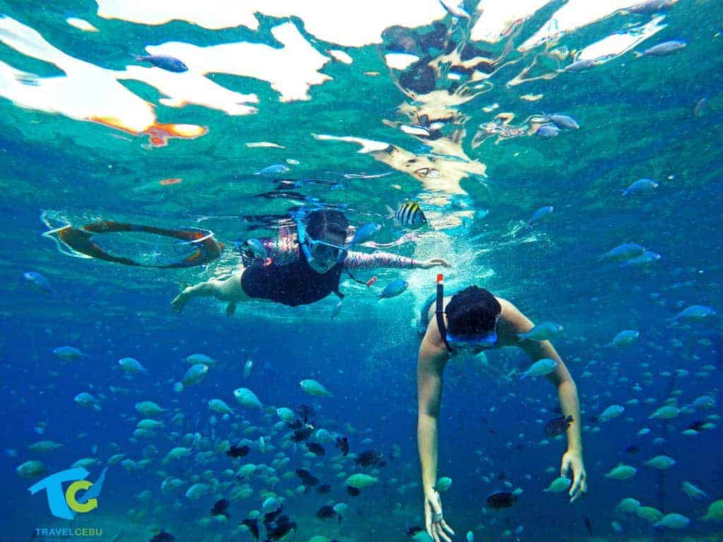 Pescador island tour