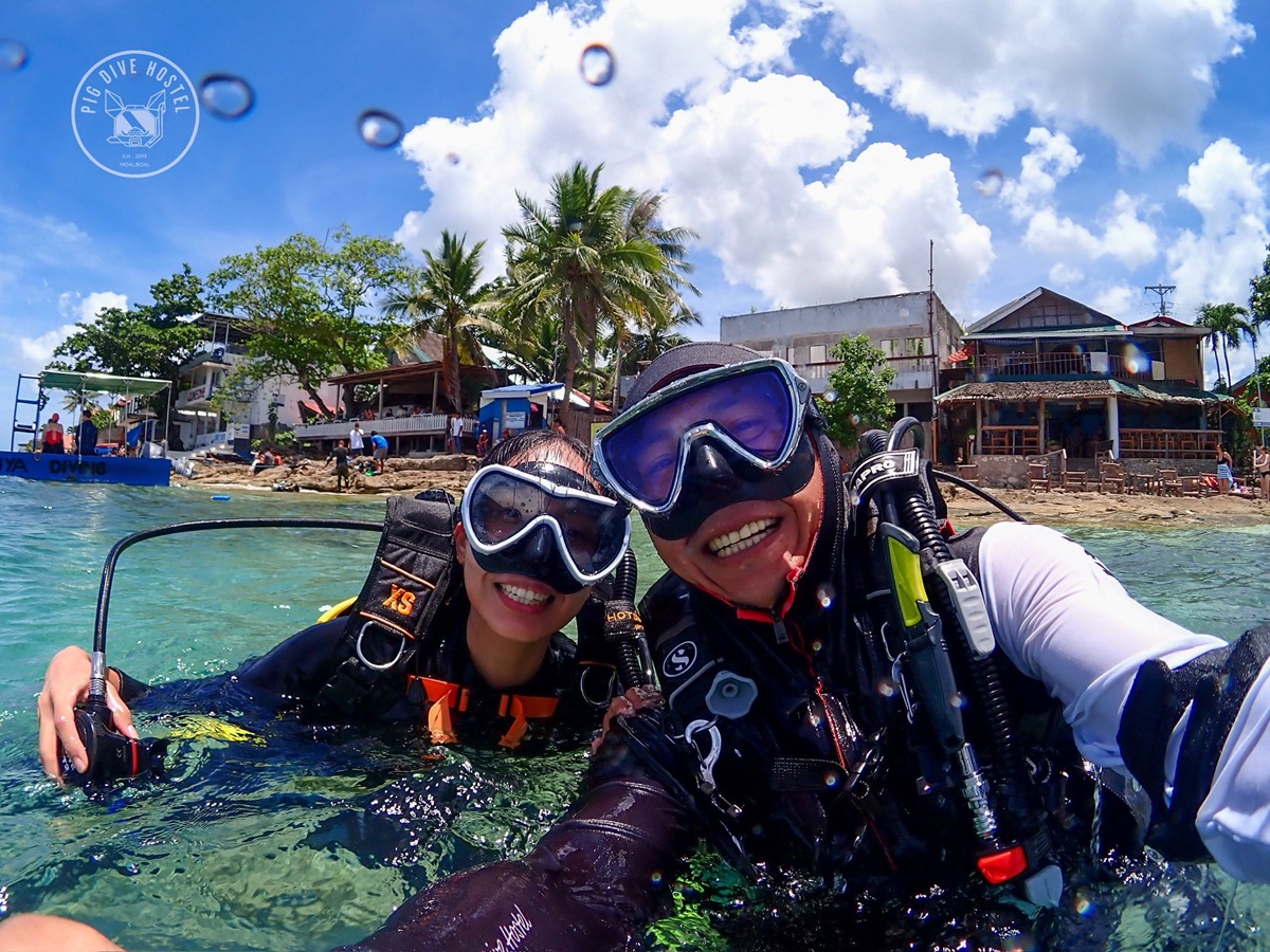 Pig Dive Hostel moalboal Pig Dive Hostel moalboal