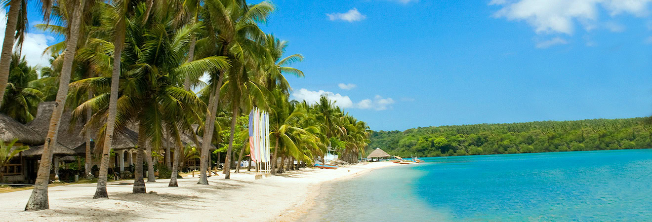 Bright tropical beach with palm trees and white sand.
