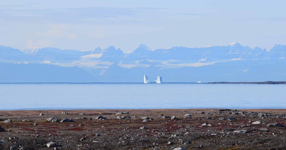 Fjords and Fauna of Ittoqqortoormiit