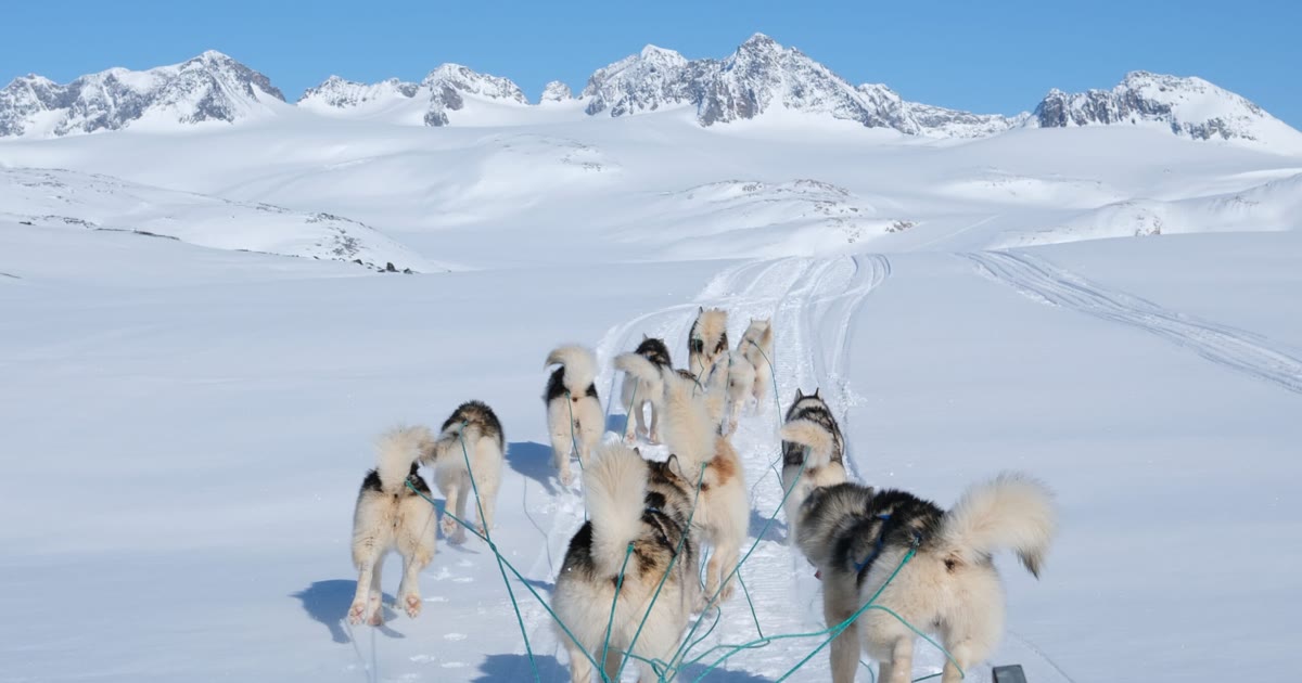 Four Days by Dog Sled