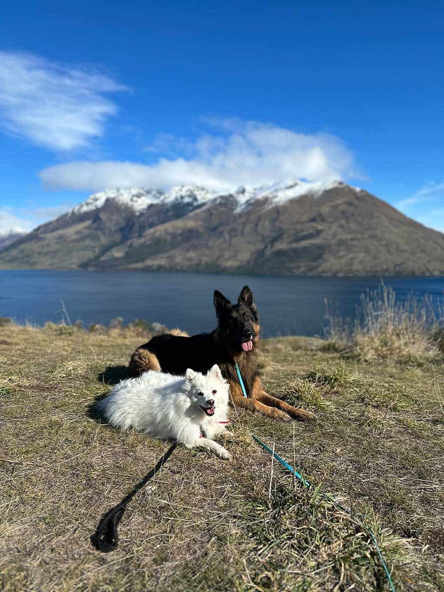 Joni Hammington in Queenstown