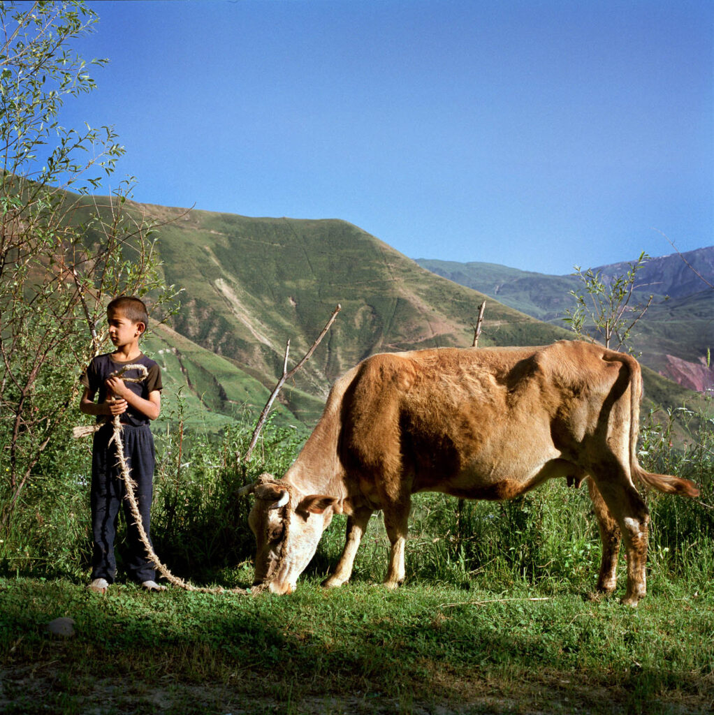 2008-mashid-mohadjerin-photo-06-1.jpg