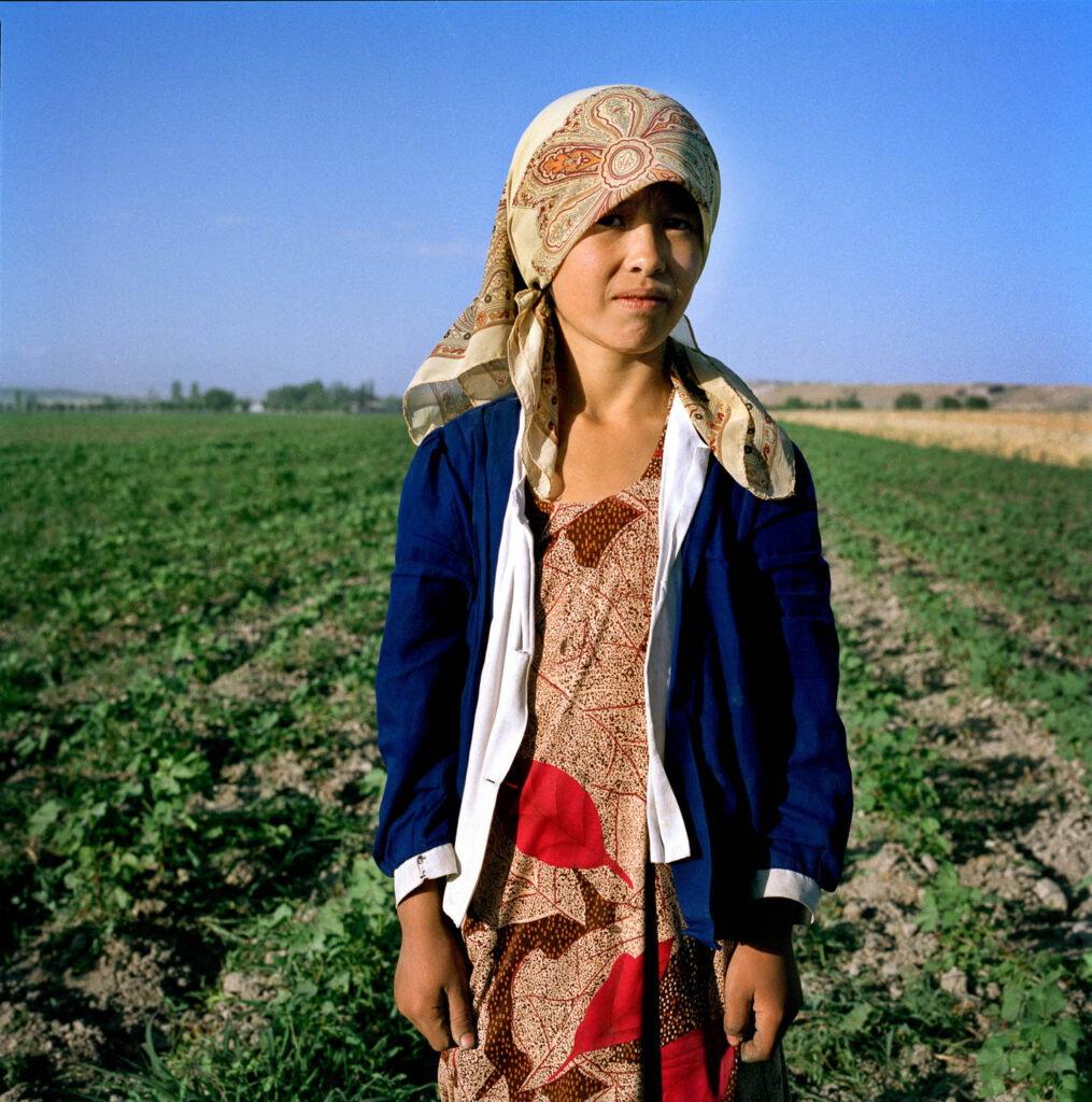 2008-mashid-mohadjerin-photo-10-1.jpg