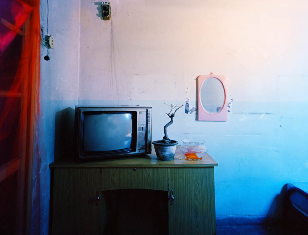 2009-saana-wang-photo-07-1.jpg