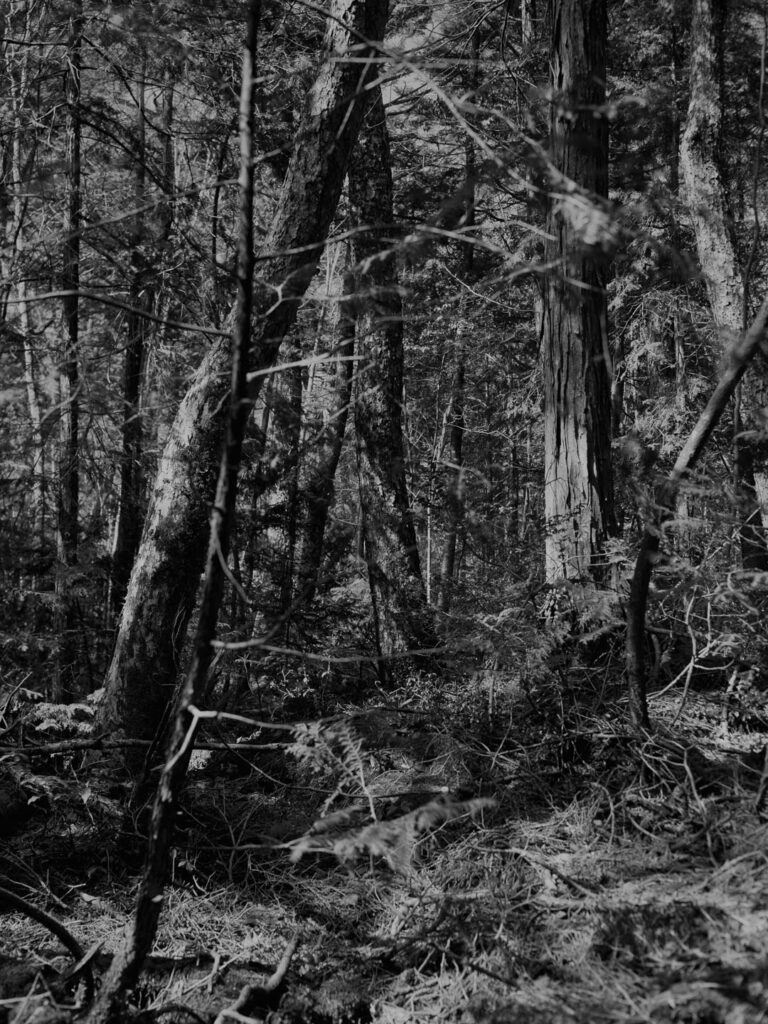 2011-takashi-kawashima-photo-01-1.jpg