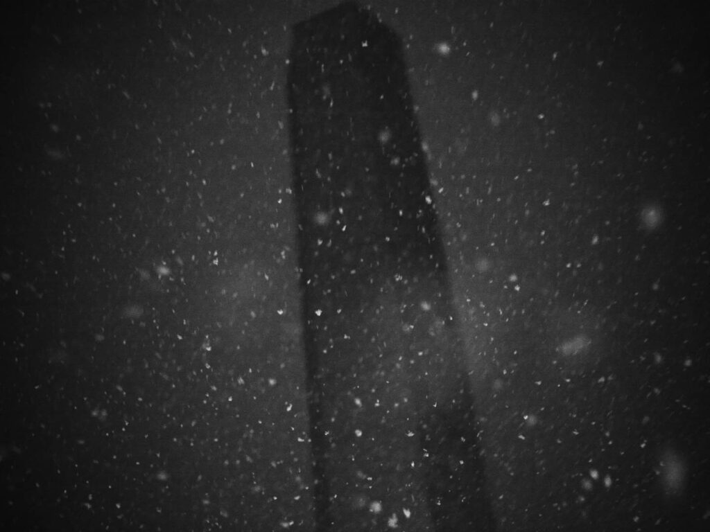 2011-takashi-kawashima-photo-10-1.jpg
