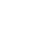 OAK TREE