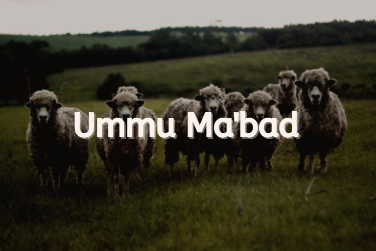 ummu ma'bad