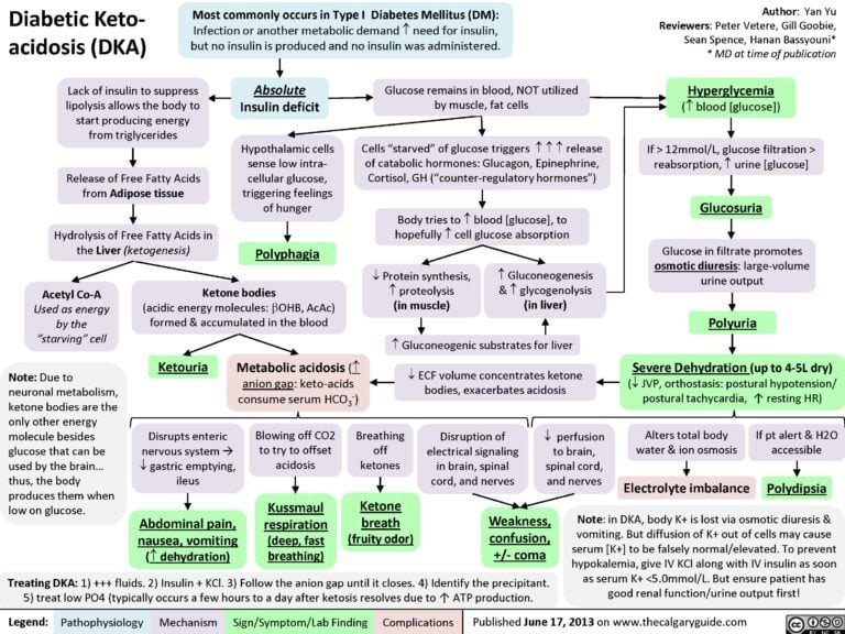 Diabetic Ketoacidosis dignosis, treatment, pathophysiology