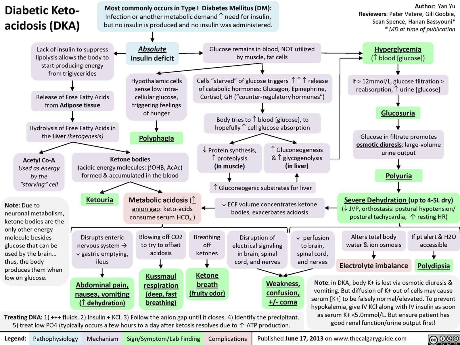 Diabetic Ketoacidosis dignosis, treatment, pathophysiology