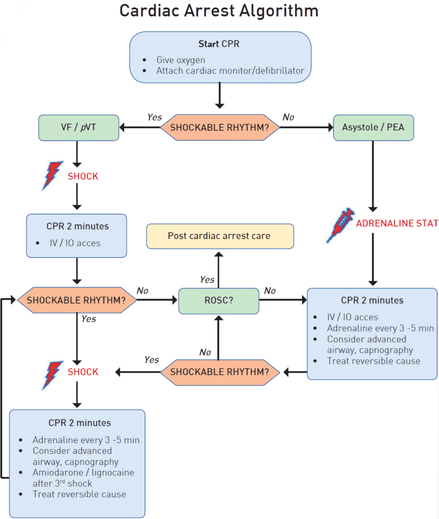 cardiac arrest algorithm, pulseless vt, vfib, shockable