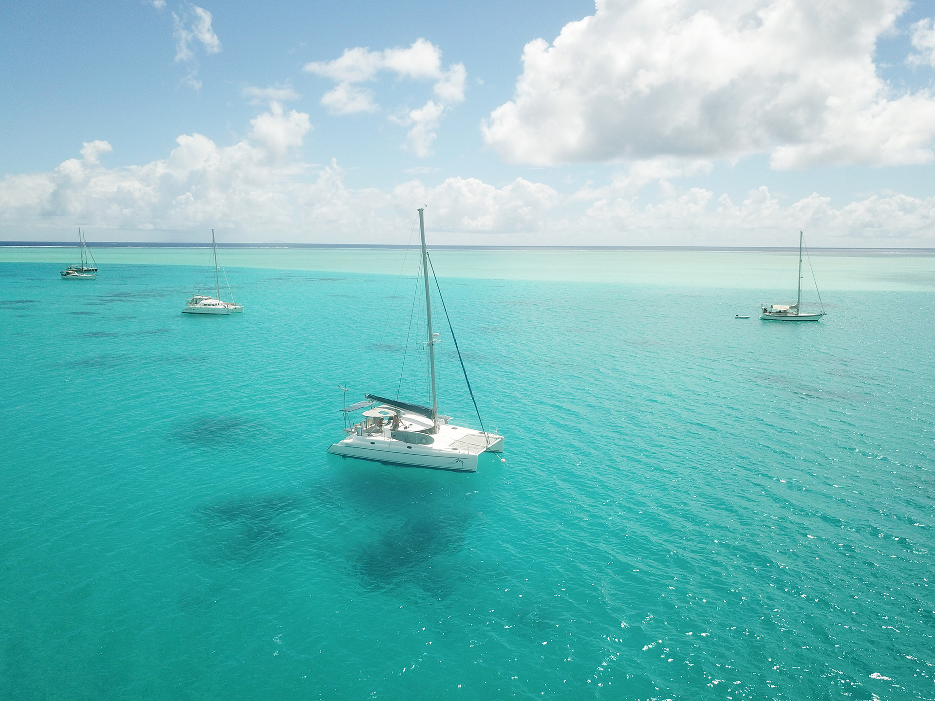 Fire Tail by Jack Gamble Photo and Video