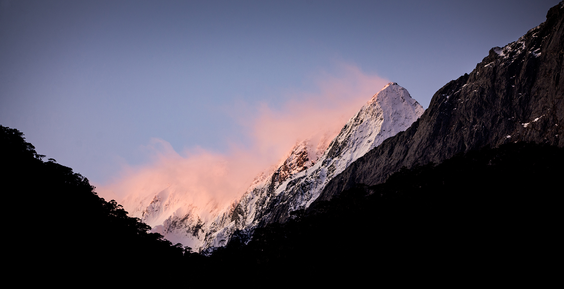 Fire Tail by Jack Gamble Photo and Video