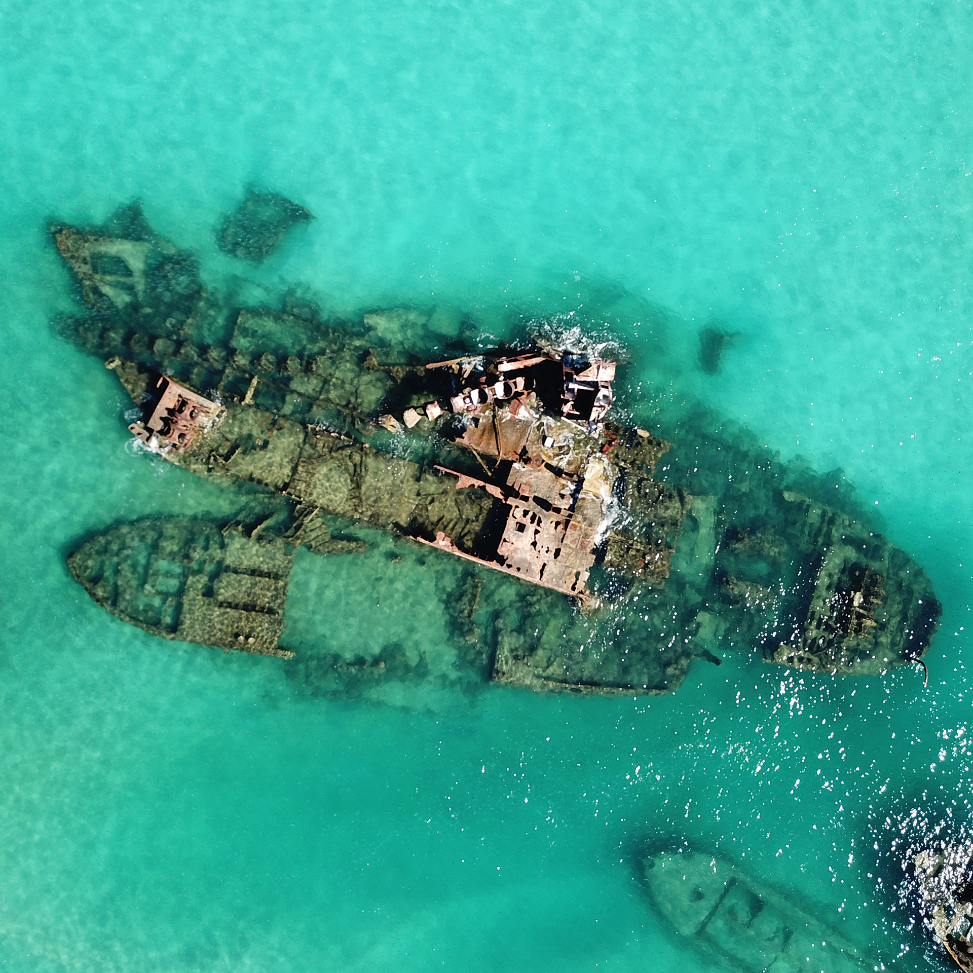 Fire Tail by Jack Gamble Photo and Video