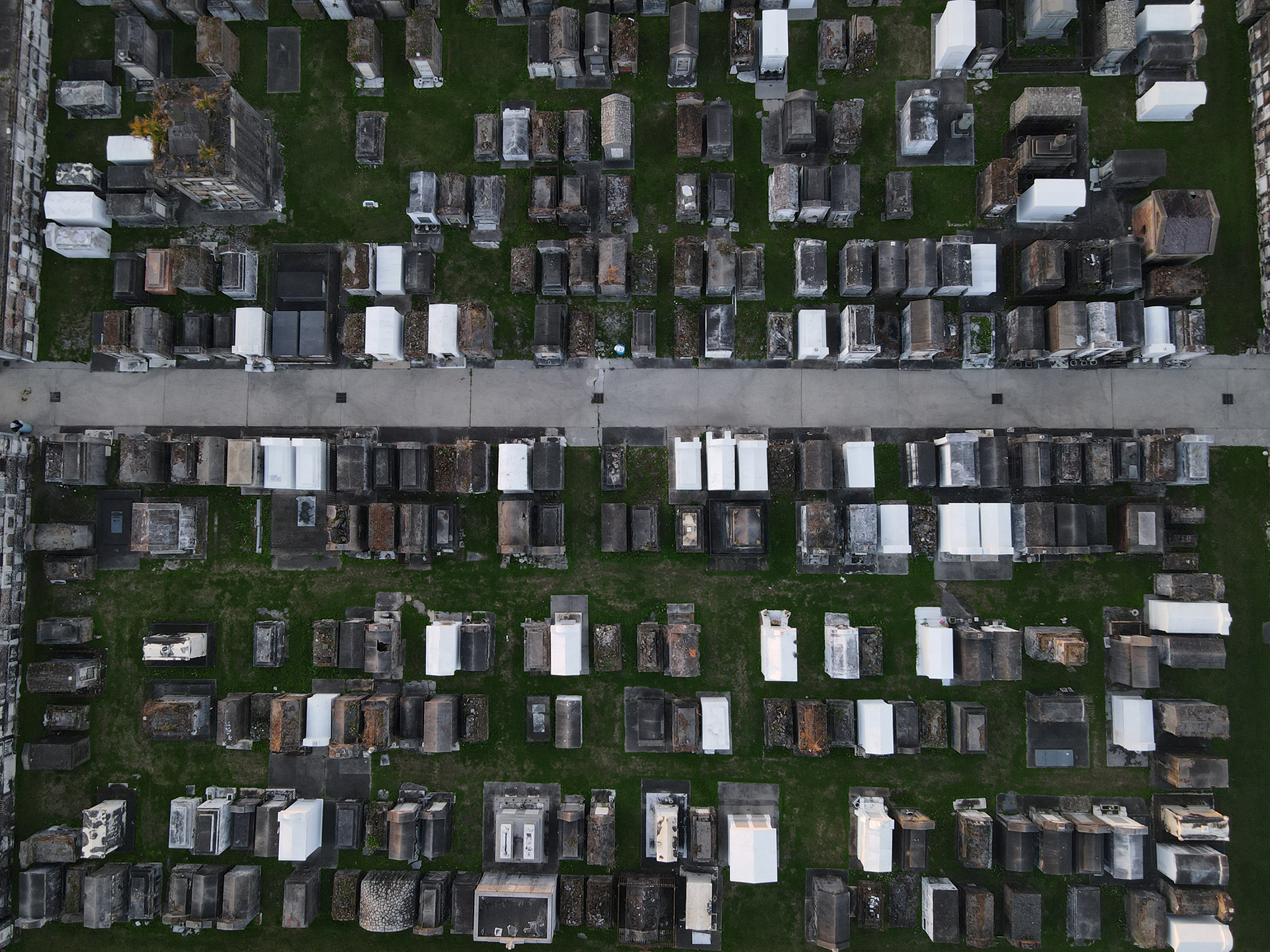 Fire Tail by Jack Gamble Photo and Video