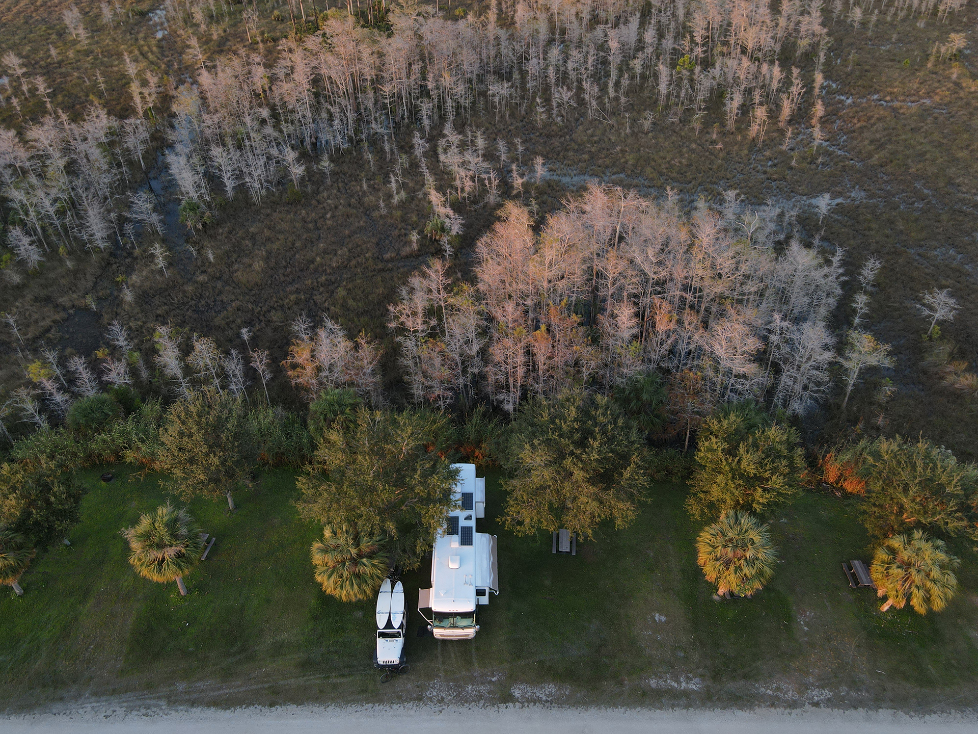 Fire Tail by Jack Gamble Photo and Video