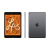 APPLE/Apple iPad mini 7.9-inch