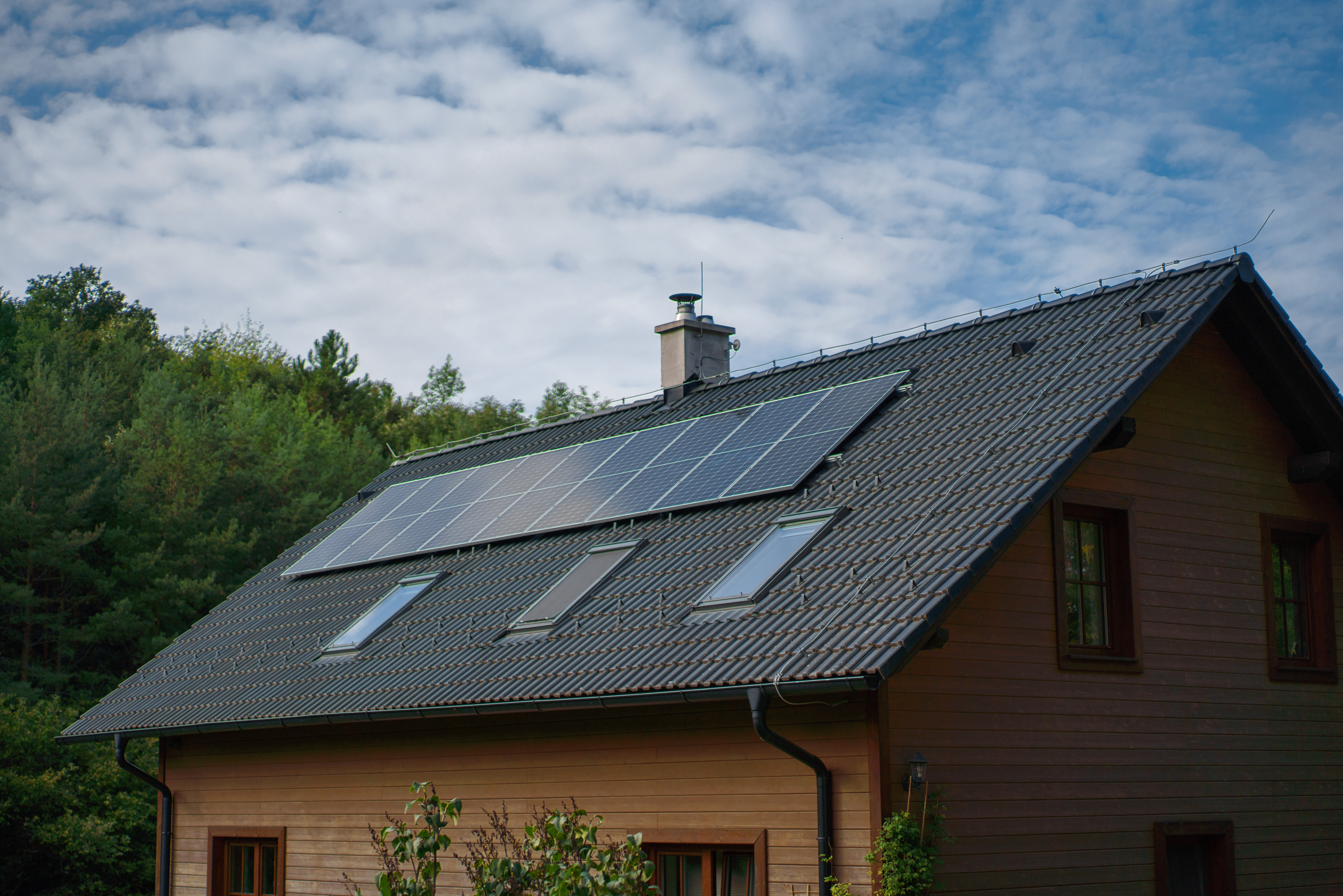 VELUX Skylights