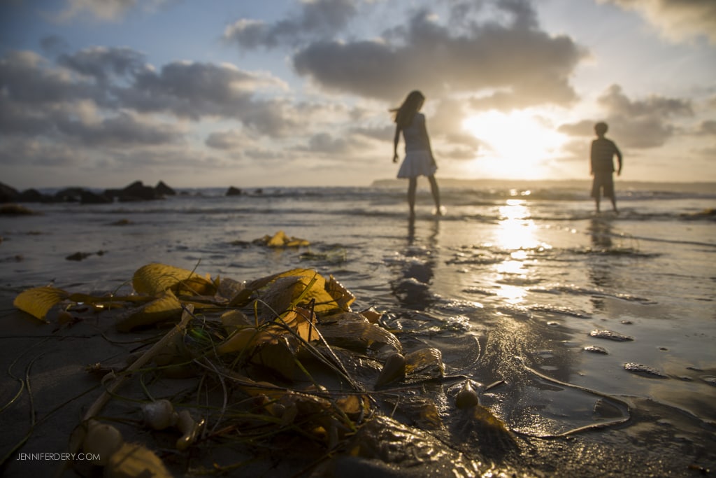 Silhouetted children play near the shore at sunset. The foreground features washed-up seaweed and debris on wet sand. The sky is filled with clouds, and the sun reflects off the ocean.