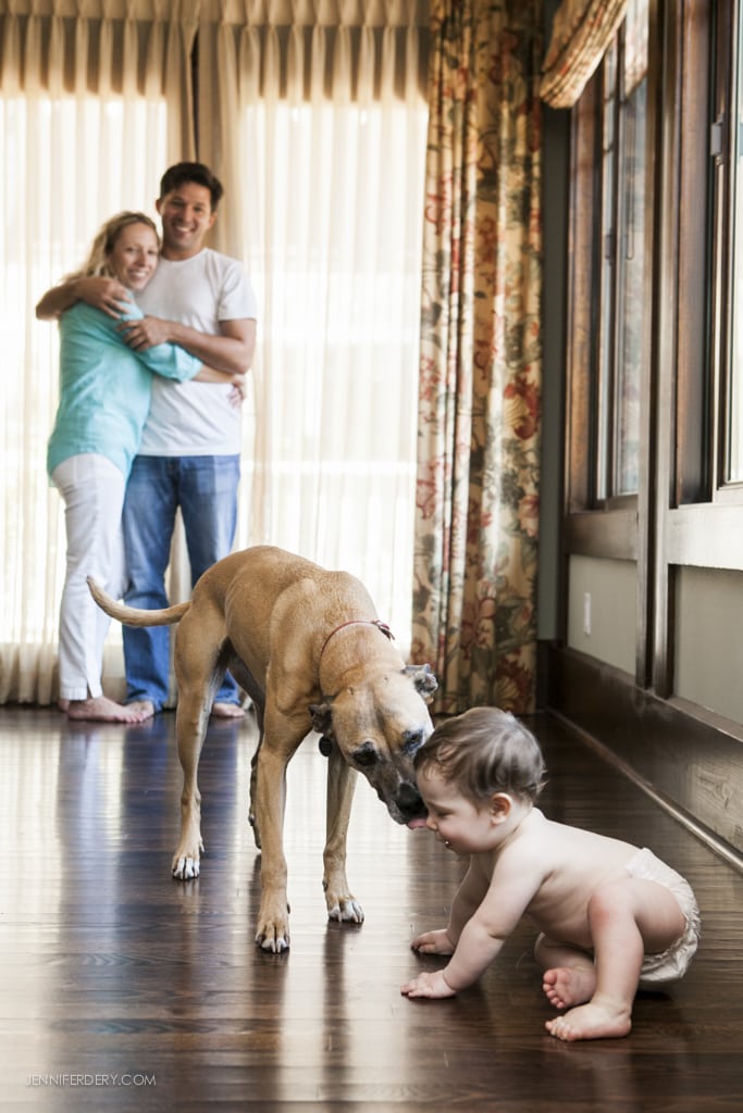 A young couple embraces by a window, smiling, as their family photographer captures the perfect moment. In the foreground, a dog playfully interacts with a crawling baby on the wooden floor. Sunlight filters through the curtains, creating a warm atmosphere.