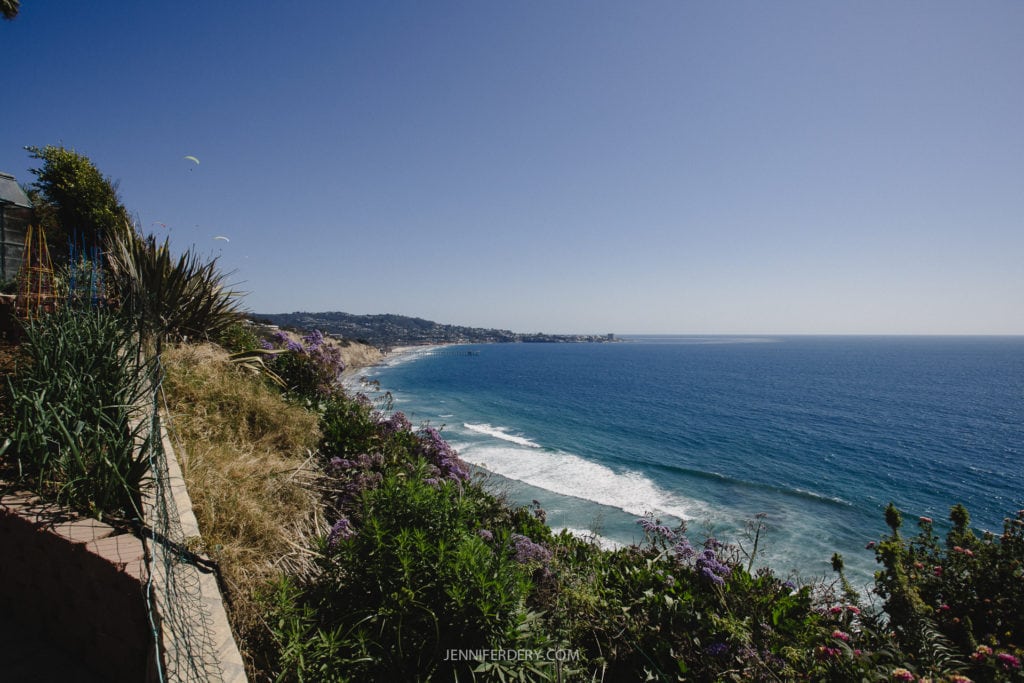 A scenic coastal view featuring a clear blue ocean with gentle waves, a distant shoreline extending into the horizon, and a foreground of lush green plants and purple flowers under a bright blue sky.