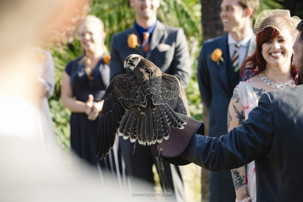 A person holds a falcon ring bearer, on their gloved hand during an outdoor event. In the background, several people dressed in formal attire smile, with greenery visible around them.