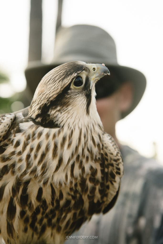 La jolla farms wedding photos 3994
