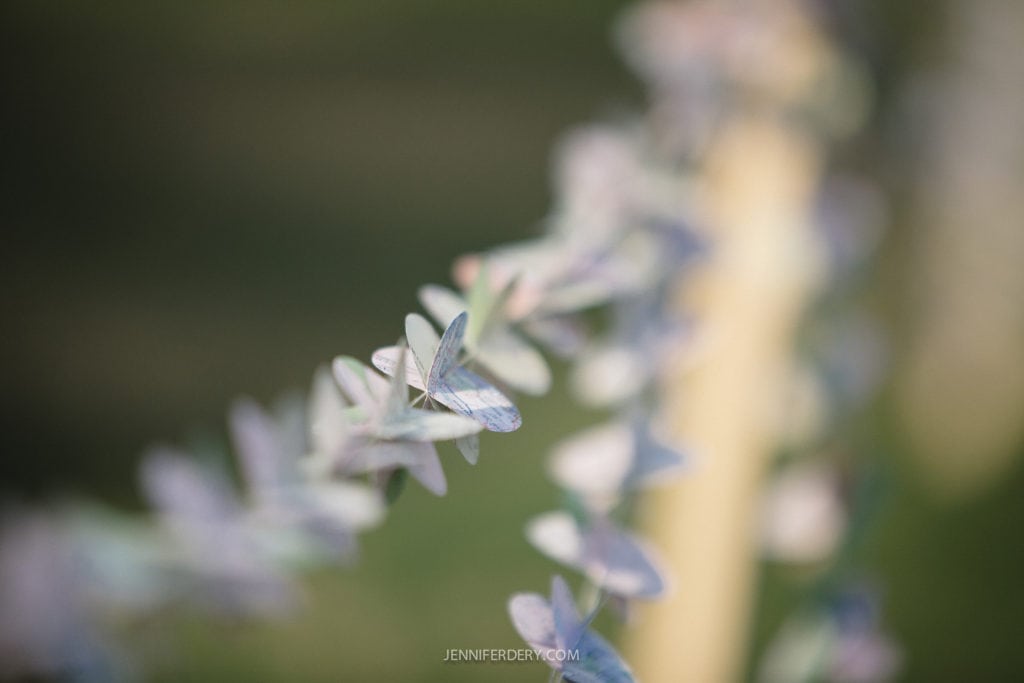 La jolla farms wedding photos 4282