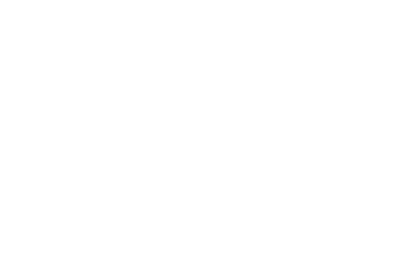 Footer interior - PLEASURE DIAMONDS L.L.C. 1