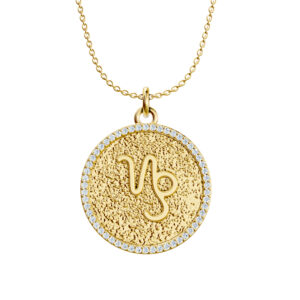 Stellar Disc: Capricorn - The Visionary