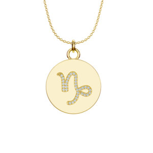 Celestial Icon: Capricorn - The Visionary