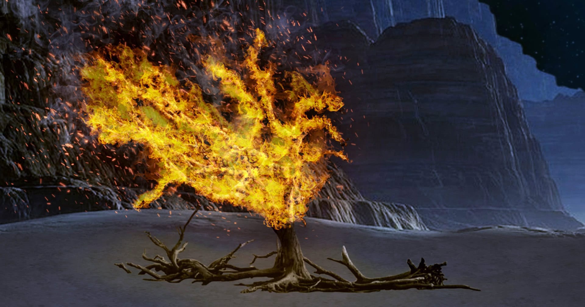 A picture of a burning bush