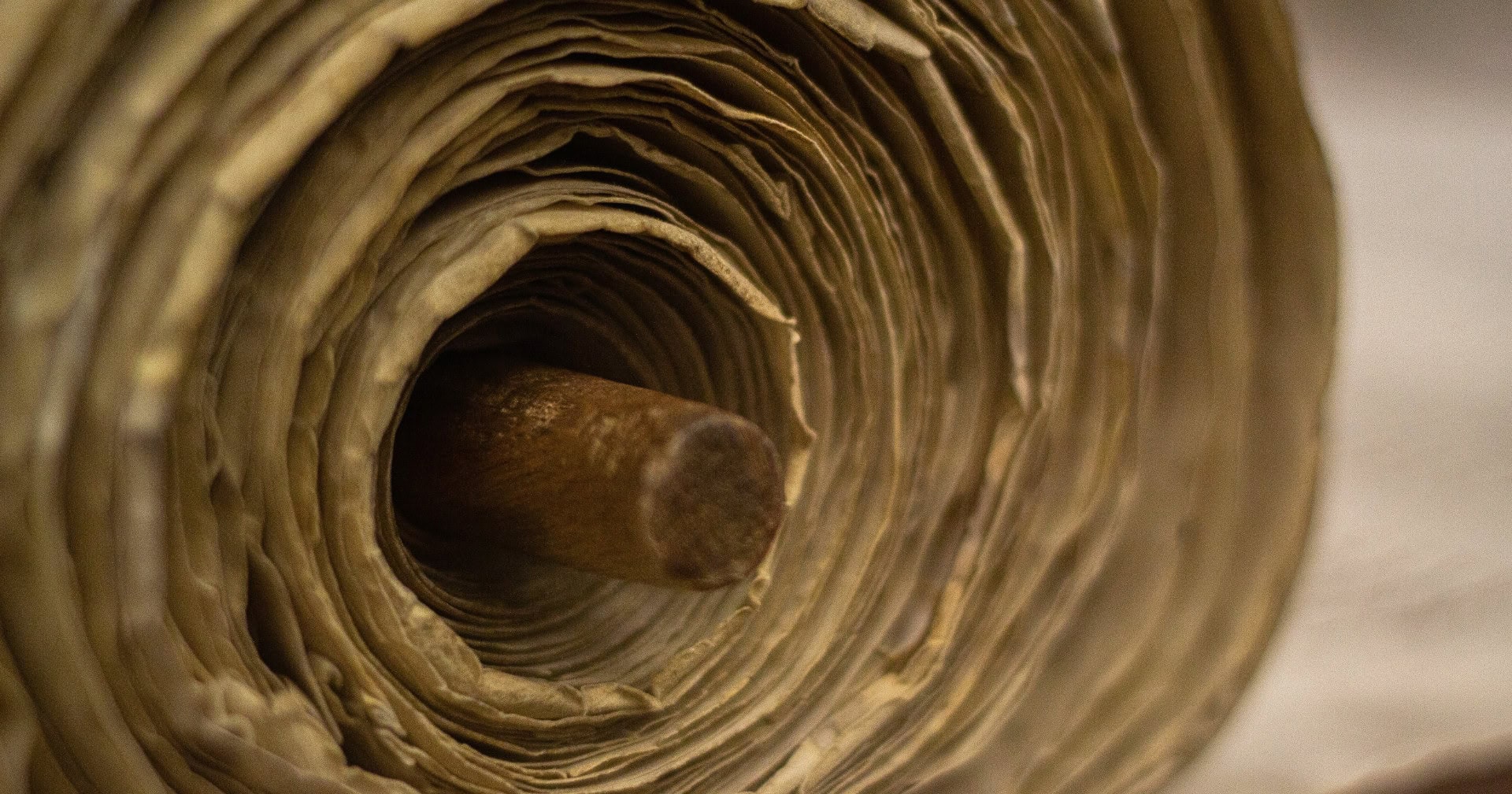 A closeup image of a Torah scroll
