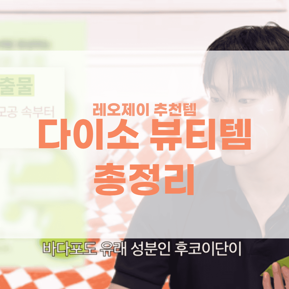 레오제이 추천 다이소 뷰티템 정리 이미지.