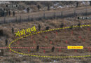 DMZ 지뢰 폭발 현장조사 - 군과 유엔군사령부가 DMZ 안에서 기동로 확보와 작전환경 조사 활동을 하는 현장 사진