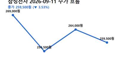 삼성전자 SK하이닉스 급락 이유 - 삼성전자 SK하이닉스 급락 이유를 보여주는 9월11일 삼성전자 주가 흐름 (전일 종가→저가→고가→종가)