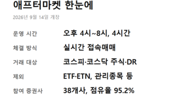 애프터마켓 주식거래 방법 - 한국거래소 애프터마켓 주식거래 방법 핵심 요약 카드 — 개장일·운영 시간·거래 대상·제외 종목