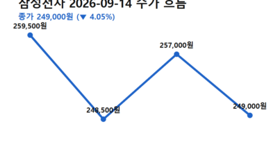 삼성전자 하이닉스 급락 이유 - 삼성전자 9월 14일 주가 흐름(전일 종가→저가→고가→종가) — 삼성전자 하이닉스 급락 이유 정리