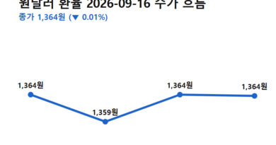 1990년 원달러환율 - 원달러환율 9월 16일 흐름 (전일 종가→저가→고가→종가)