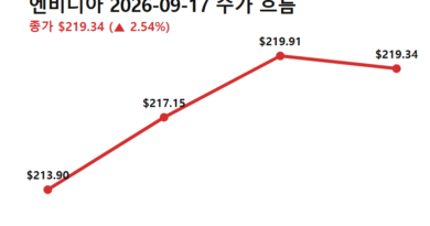 엔비디아 주가 반등 이유 - 엔비디아 9월 17일 주가 흐름, 엔비디아 주가 반등 이유를 보여주는 전일 종가→저가→고가→종가