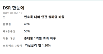 DSR 뜻 - DSR 뜻과 규제비율을 한 장으로 정리한 요약 카드