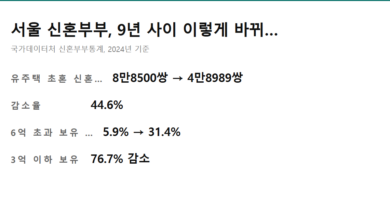 신혼부부 대출 중앙값 - 서울 신혼부부 주택 보유 변화 요약 카드, 신혼부부 대출 중앙값 기사 기준