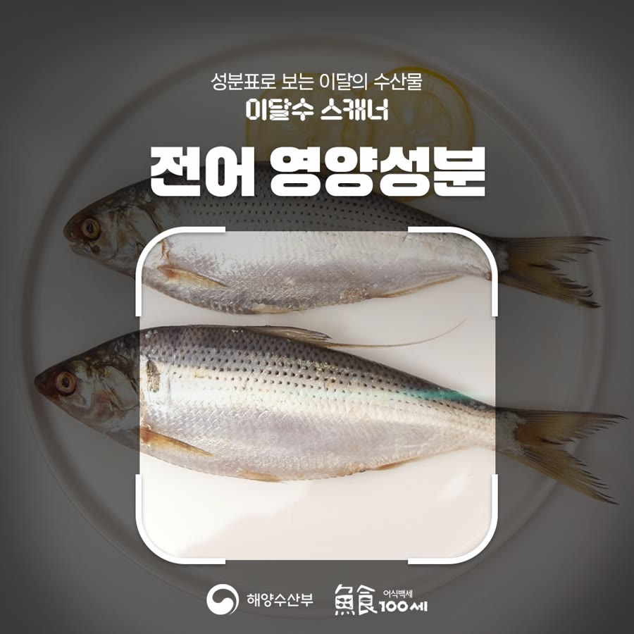 수산대전 참여 마트·온라인몰 안내 이미지