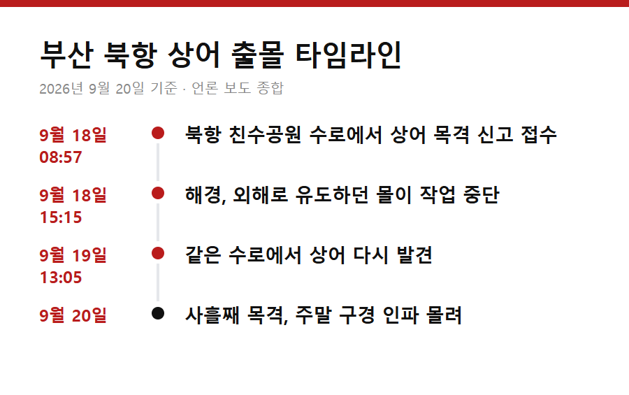 부산 북항 상어 출몰 타임라인