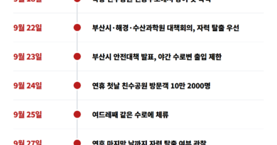 부캉이 뜻 - 부산 북항 상어 '부캉이' 타임라인