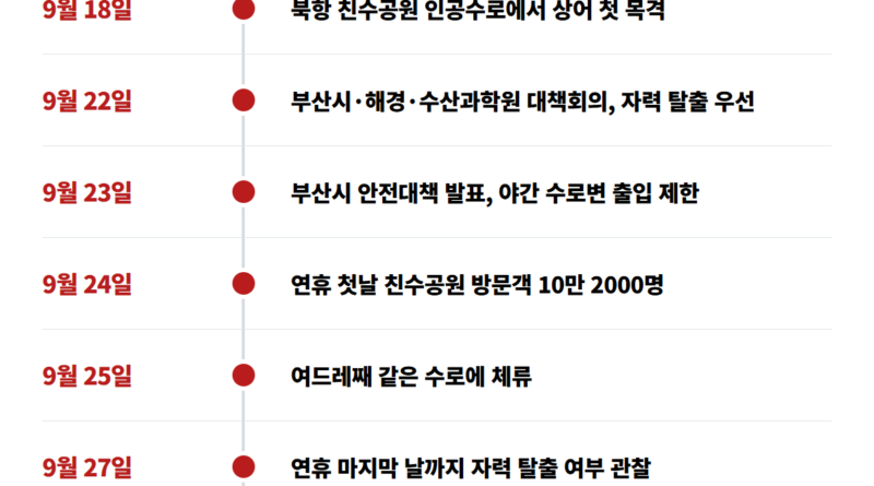 부캉이 뜻 - 부산 북항 상어 '부캉이' 타임라인