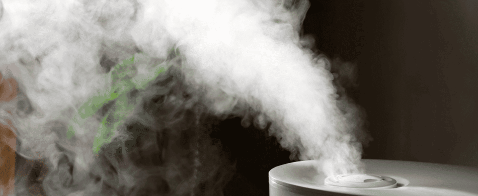 A white humidifier releasing a steady stream of mist into the air against a dark background with a hint of green leaves.