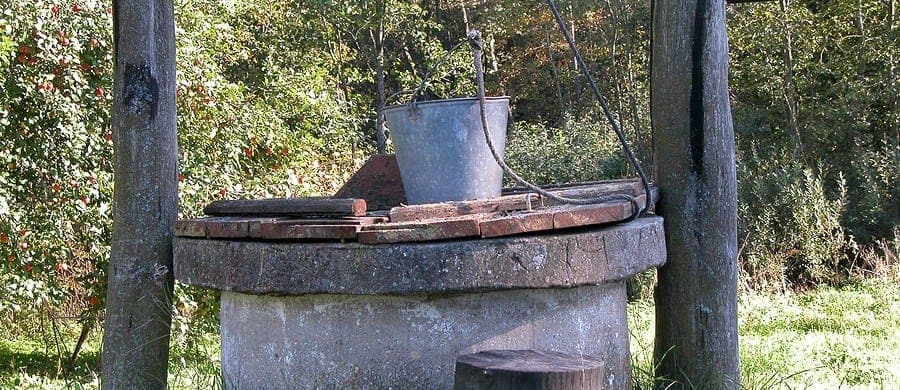 A stone well with a wooden cover, a metal bucket attached to a rope, and surrounded by trees and greenery.