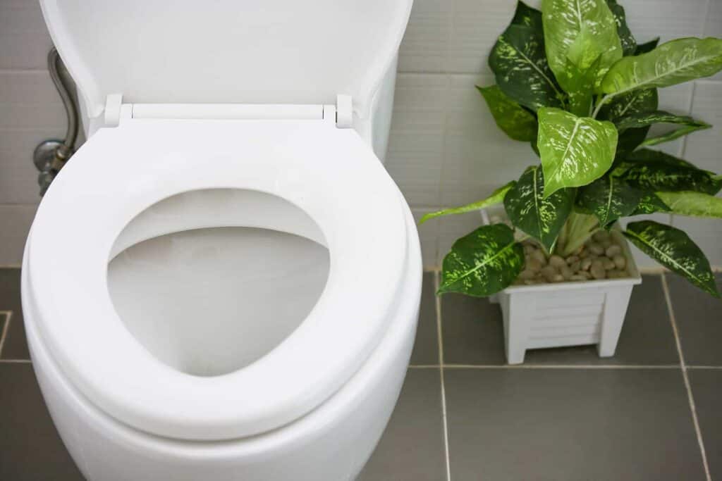 A white toilet with an open lid is on a tiled floor next to a green potted plant.